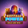 Buffalo Power